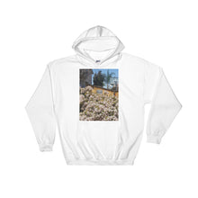Load image into Gallery viewer, "Beware of God" Hoodie