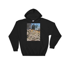 Load image into Gallery viewer, "Beware of God" Hoodie