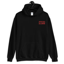 Load image into Gallery viewer, "Beware of God" Hoodie